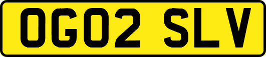 OG02SLV