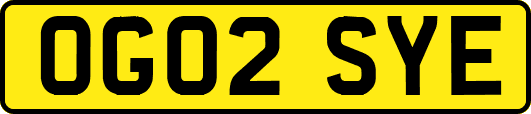 OG02SYE