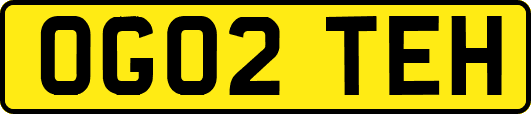 OG02TEH