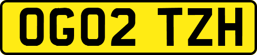 OG02TZH