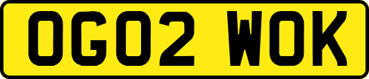 OG02WOK