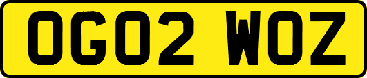 OG02WOZ