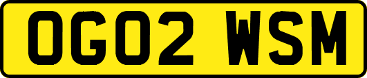 OG02WSM