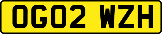 OG02WZH
