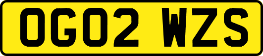 OG02WZS