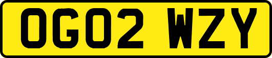 OG02WZY