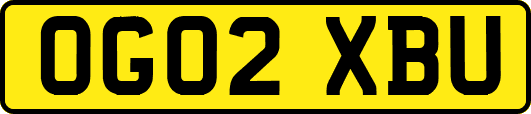OG02XBU