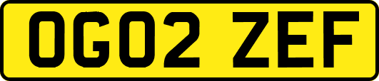 OG02ZEF