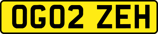 OG02ZEH