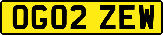 OG02ZEW