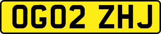 OG02ZHJ