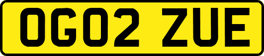 OG02ZUE