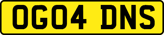 OG04DNS