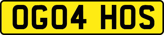 OG04HOS