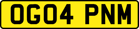 OG04PNM