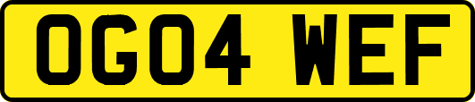 OG04WEF