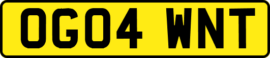 OG04WNT