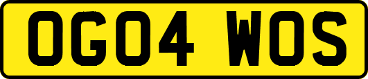 OG04WOS