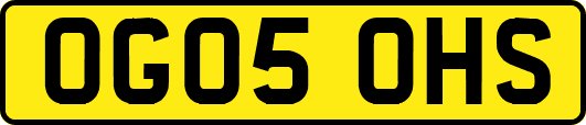 OG05OHS