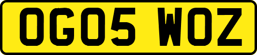 OG05WOZ