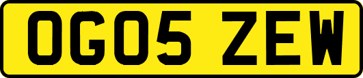 OG05ZEW