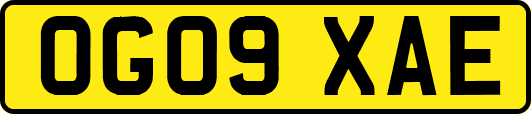 OG09XAE