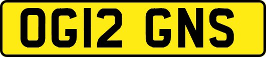 OG12GNS