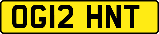 OG12HNT
