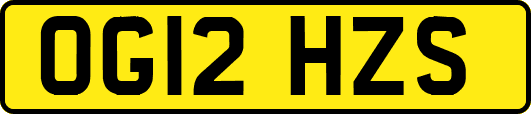 OG12HZS