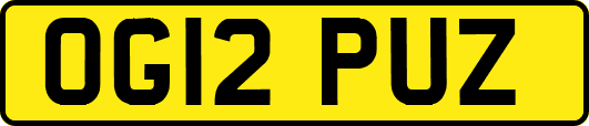 OG12PUZ