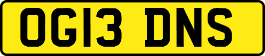 OG13DNS
