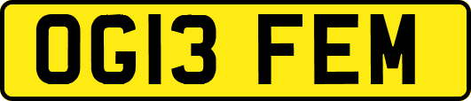 OG13FEM