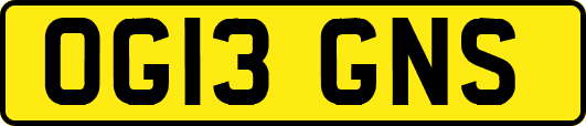 OG13GNS