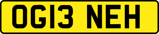 OG13NEH