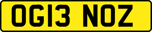 OG13NOZ