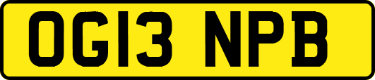 OG13NPB