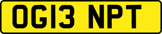 OG13NPT