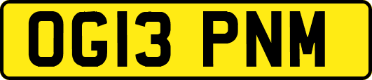 OG13PNM