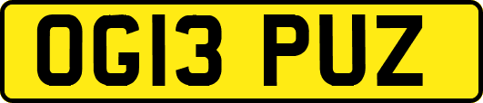 OG13PUZ