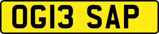 OG13SAP