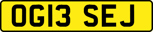 OG13SEJ