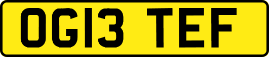 OG13TEF