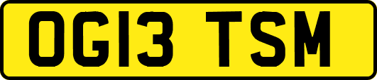 OG13TSM