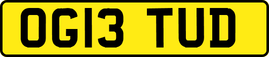 OG13TUD