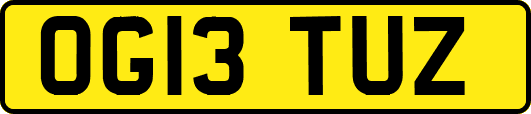 OG13TUZ