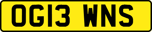 OG13WNS