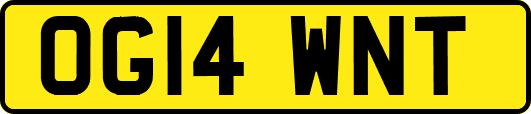 OG14WNT