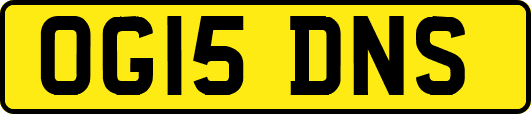 OG15DNS