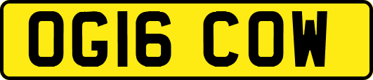 OG16COW