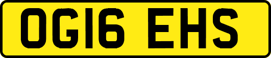 OG16EHS